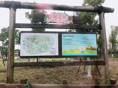 -田园东方蜜桃村的田野营地