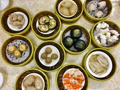 -肥佬夜茶(早茶·西乡店)