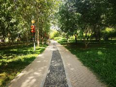 -大望京公园