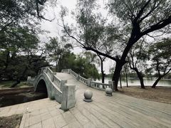 -北陵公园