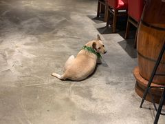 大堂-Cactus墨西哥仙人掌餐厅