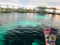 -瑞普利水族馆