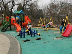 -永定河休闲森林公园