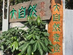 -大自然素食(望桐路店)