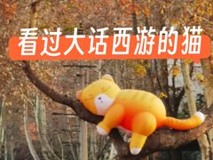 -西安电影制片厂