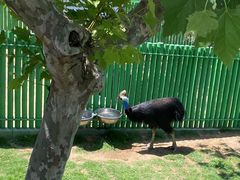 -西霞口神雕山野生动物世界