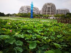 -海天湖公园