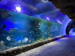 -华夏文旅海洋公园