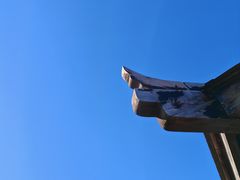 -五角枫生态旅游景区