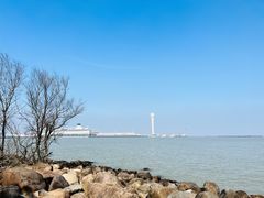 -上海吴淞炮台湾国家湿地公园