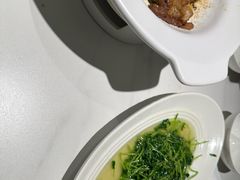 -渔歌湘宴