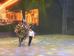 -重庆国际马戏城