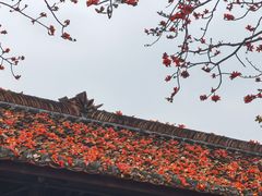 -喜洲吧·江畔老船厂·庭院餐厅(喜临院店)