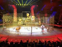 -珠海横琴长隆《卡卡虎奇遇记》