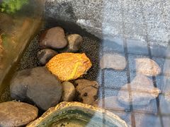 -自然博物馆新馆2楼餐厅