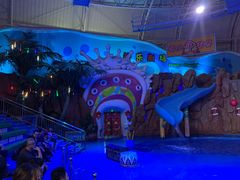 -烟台海昌鲸鲨海洋公园