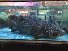 -渔民新村(番禺总店)