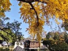 -南京中国近代史遗址博物馆(南京总统府)