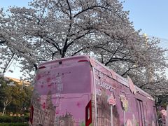 -南浦大桥长途旅游客运站