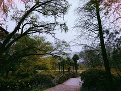 -上海共青森林公园