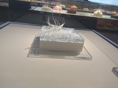 -BLACKSWAN黑天鹅(环球店)