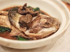 红烧河鱼秧草-鸿运酒楼