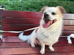 -米村拌饭(杭州国大城市广场店)