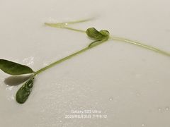 -王品牛排(北京新辰里亚运村店)