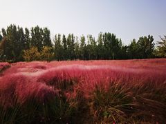 -汉长安城未央宫国家考古遗址公园