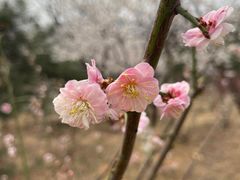 -北京西山国家森林公园