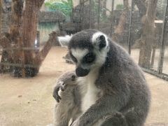 -郑州市动物园