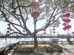 -无锡蠡湖国家湿地公园-蠡园
