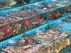 -红月湾海鲜饭店•沙滩海景(双月湾店)