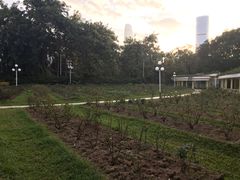 -人民公园(罗湖区)