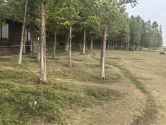 -苏州湾体育公园