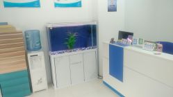 -苗方清颜专业祛痘