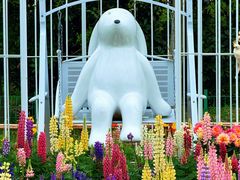 -上海共青森林公园