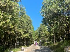 -泰山风景名胜区-普照寺