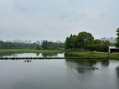 -洋湖国家湿地公园