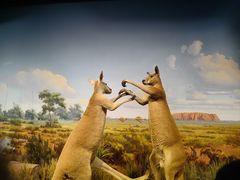 -陕西自然博物馆