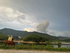 -宁波九龙湖开元度假村