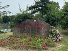 -鹅湖玫瑰文化园
