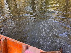 -渌洋湖湿地公园