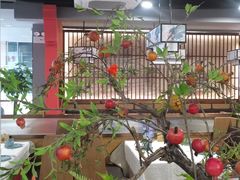-洞庭家宴·头牌甲鱼(广渠门店)