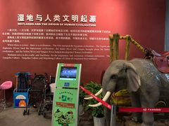 -中国湿地博物馆