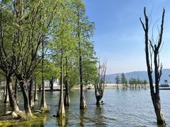 -才村湿地公园