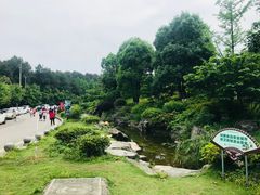 -铁山坪森林公园