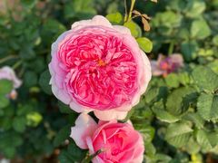 -人民公园(罗湖区)