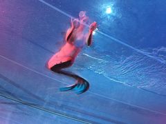 -三亚千古情景区游客中心-接待中心