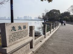 -渤公岛生态公园